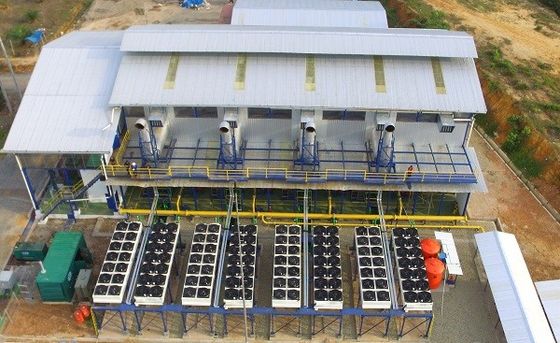 High Voltage 11kV HFO Generators 1 MW To 200 MW Hfo Genset